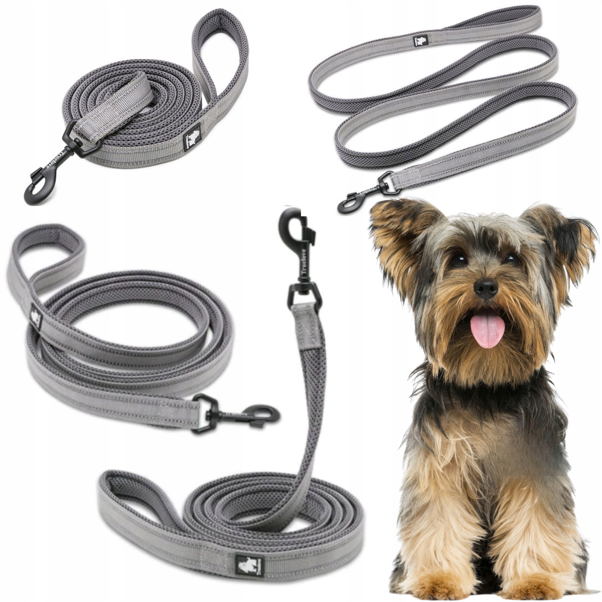Levně Vodítko Pro Psa Reflexní Silná Truelove Active Šedá 200 CM Velikost S