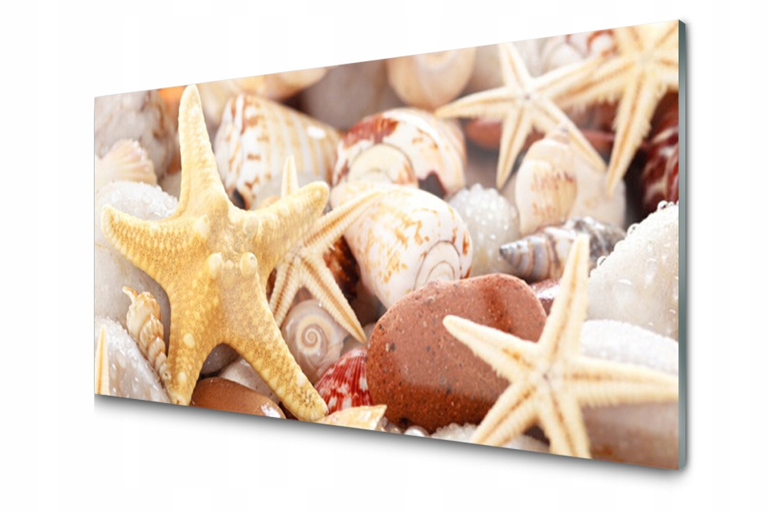 

Panel szklany Rozgwiazda Muszle Plaża 120x60