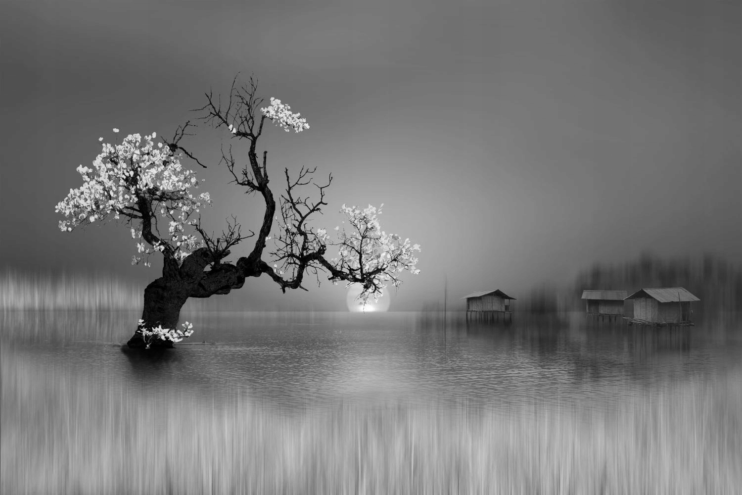 Magnetická maskovací podložka na radiátor Černobílý les 60x100