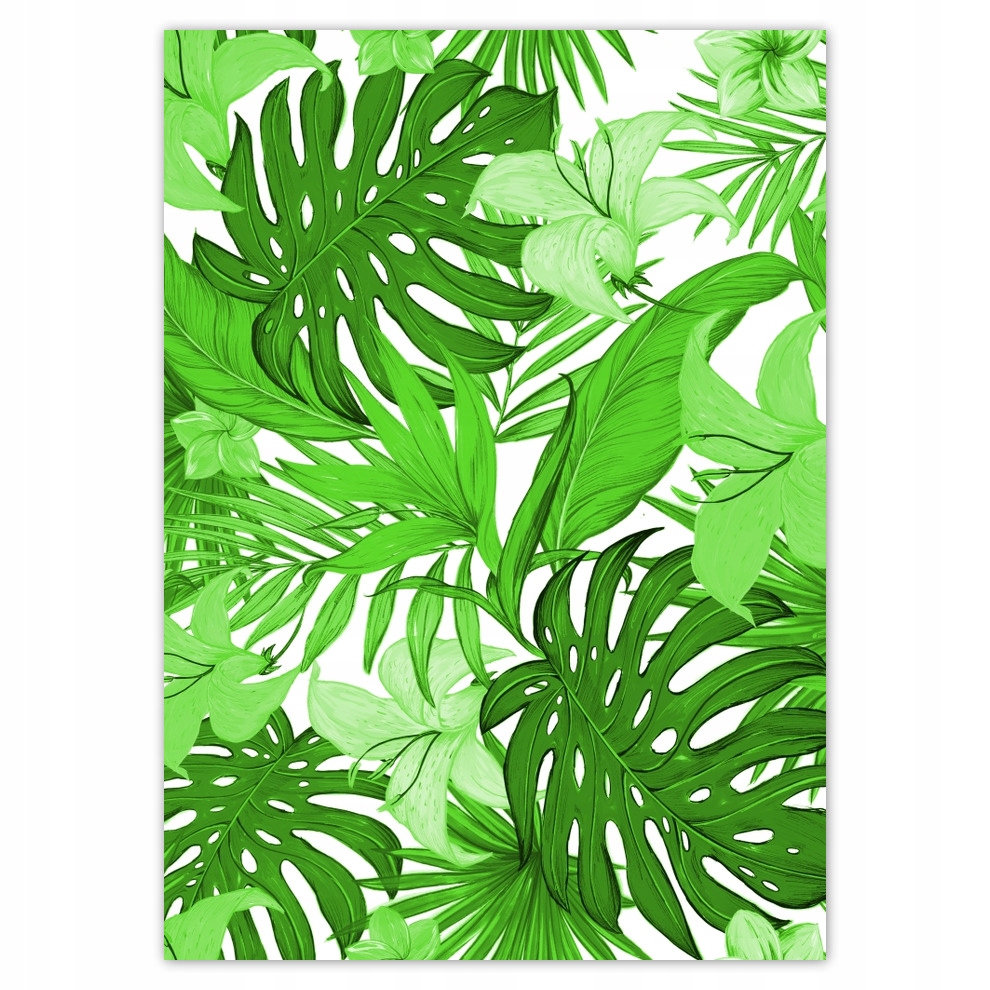 

Plakaty 50x70 Monstera