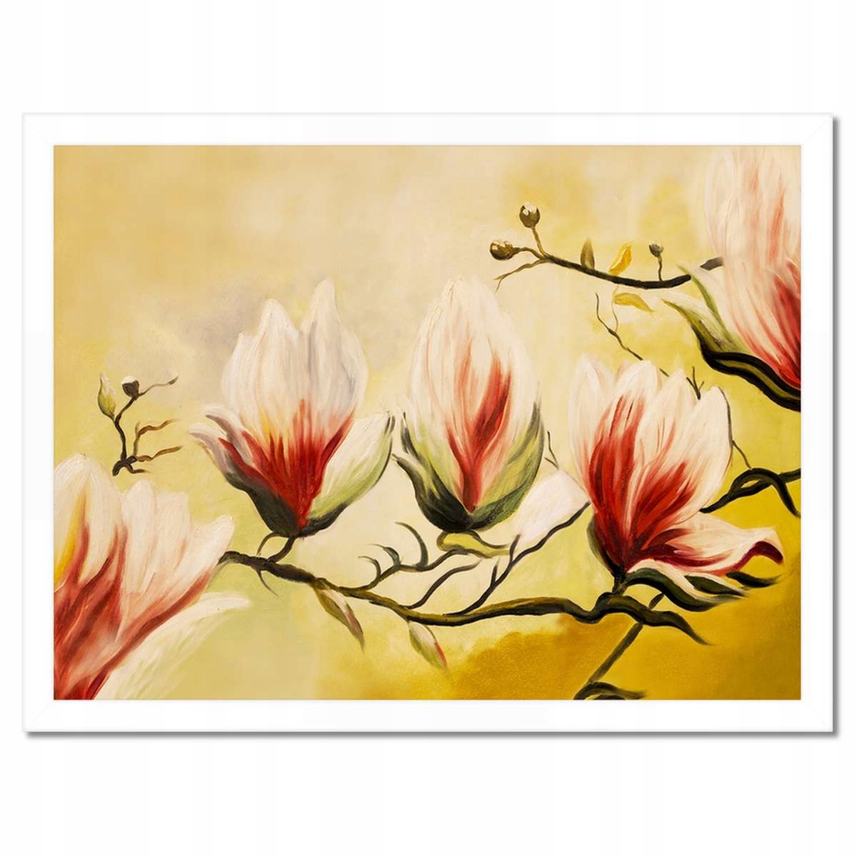 Plakáty v rámu 40x30 Magnolie