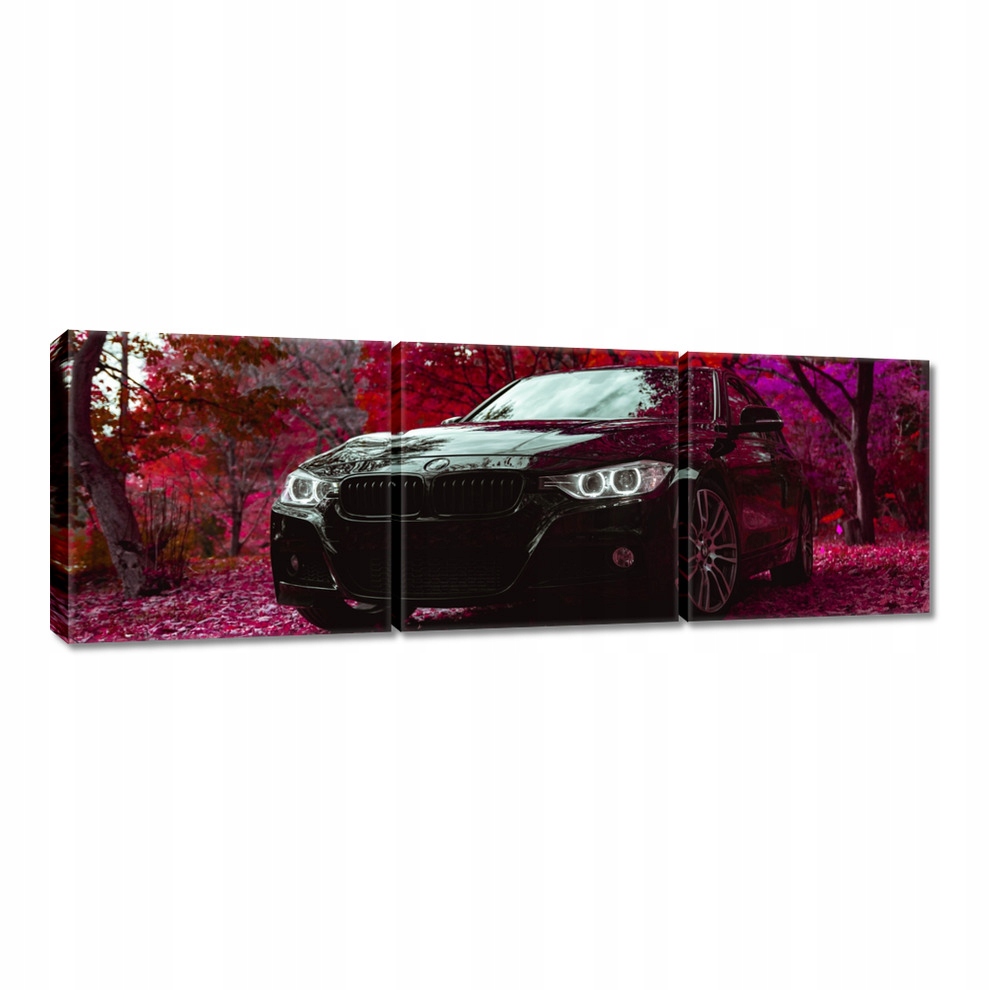 

Obrazy 60x20 Czarne Bmw Jesień
