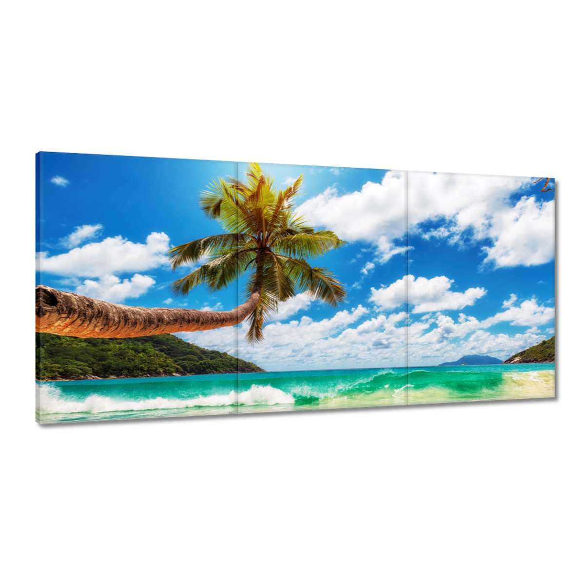 Obrazy 180x90 Tropické krajiny Palmy