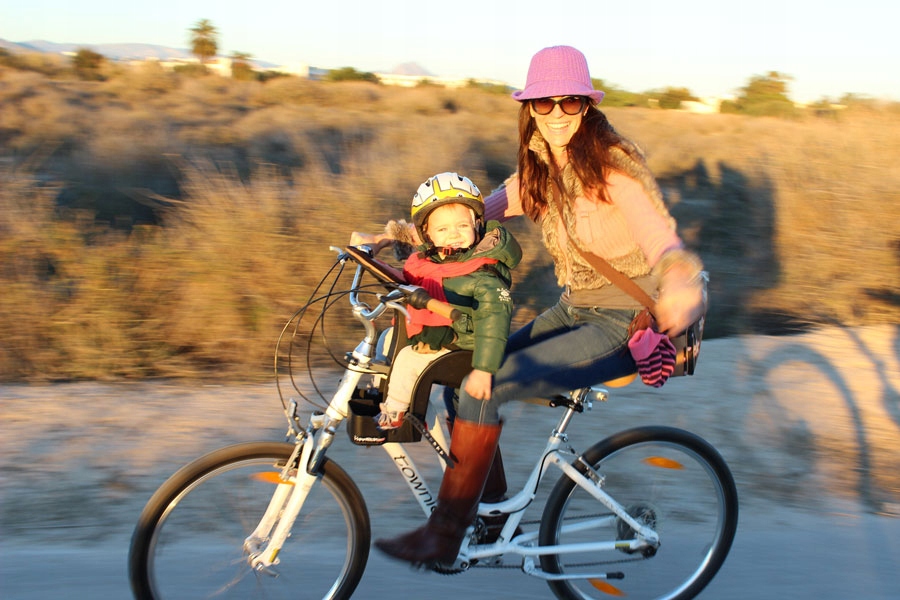 

WeeRide Safe Front Deluxe Fotelik rowerowy Usa/eu
