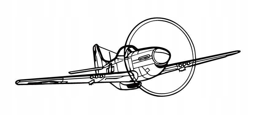 nástěnná dekorace Obraz Letadlo P-51 Mustang Angle