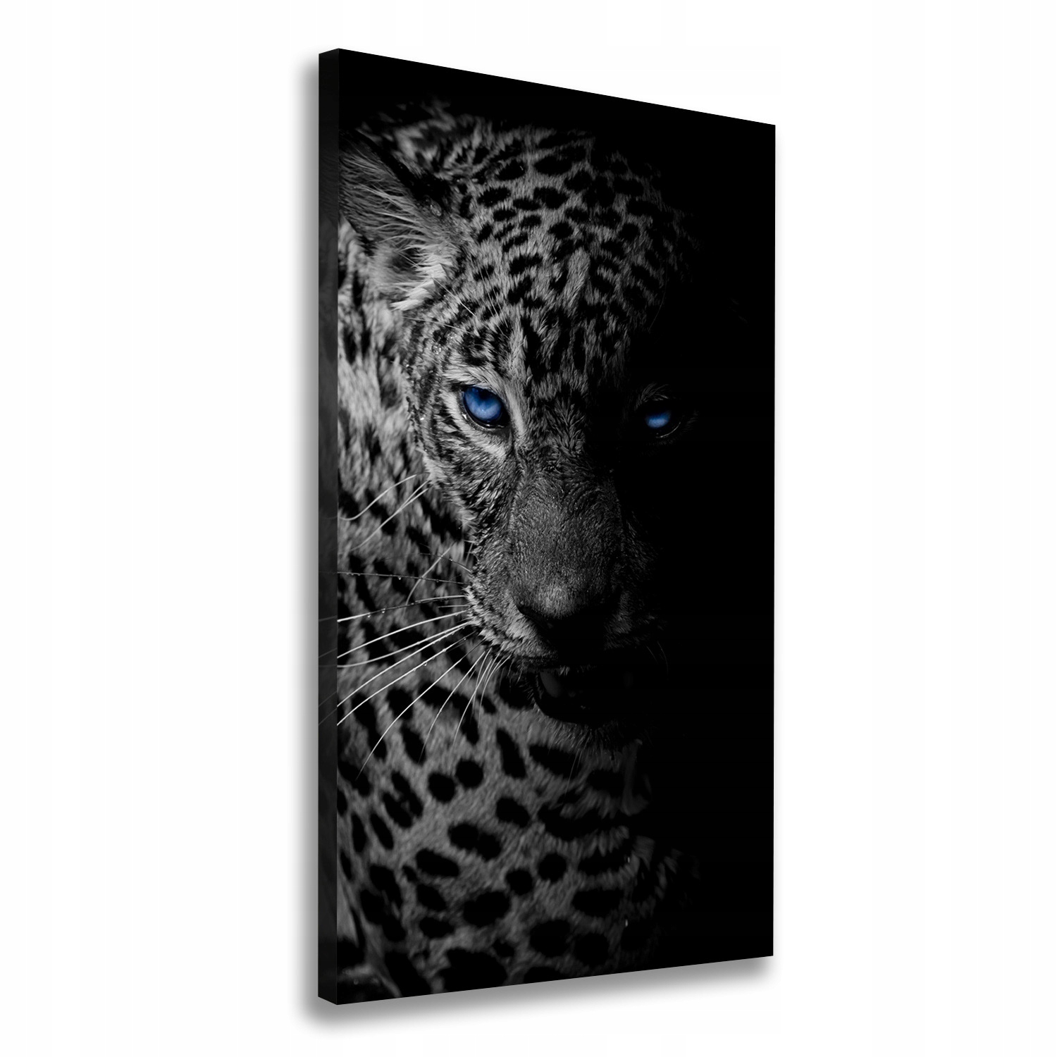

Nowoczesny obraz canvas na ramie Lampart 50x100 cm