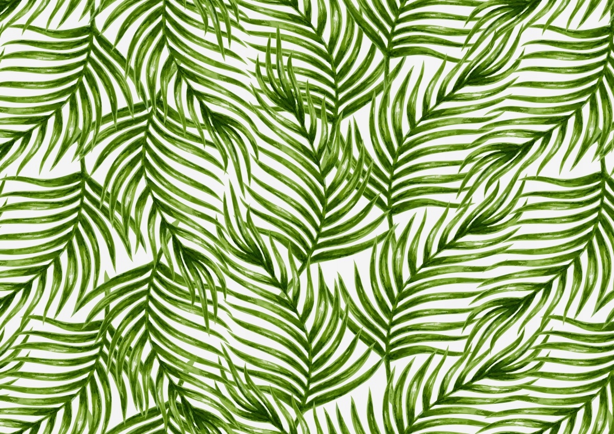 

Fototapeta Flizelina Liście palmowe 312x219