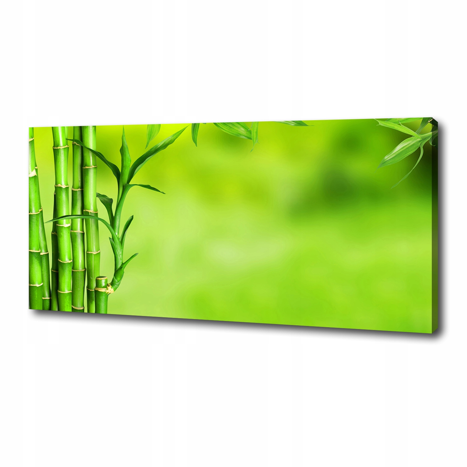 

Foto obraz duży canvas na ścianę Bambus 125x50 cm