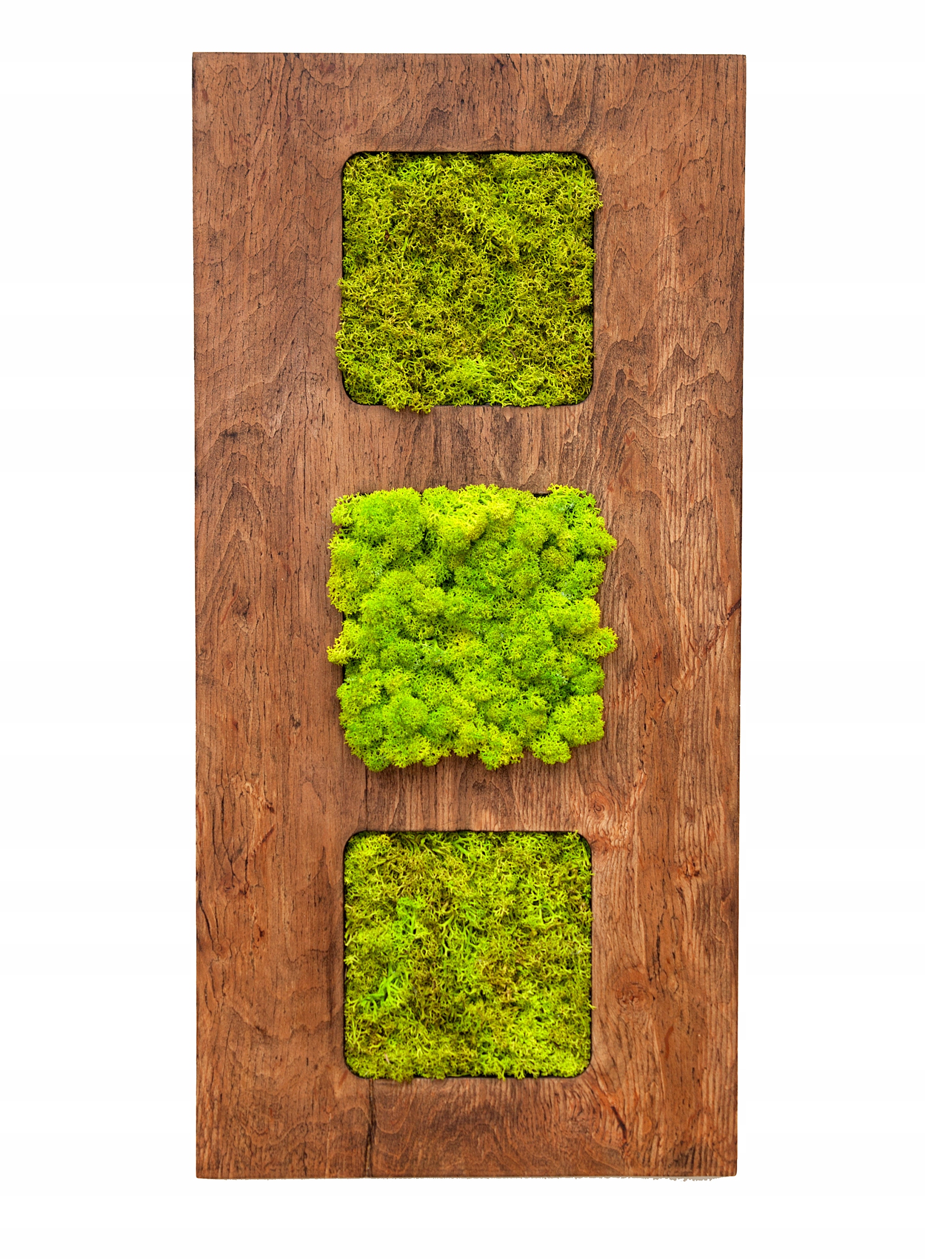 Obraz z mechu mech ozdoba panel moderní dárek