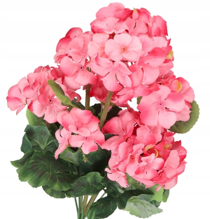 

Pelargonia Duża Gęsta Bukiet Sztuczne Kwiaty 48CM
