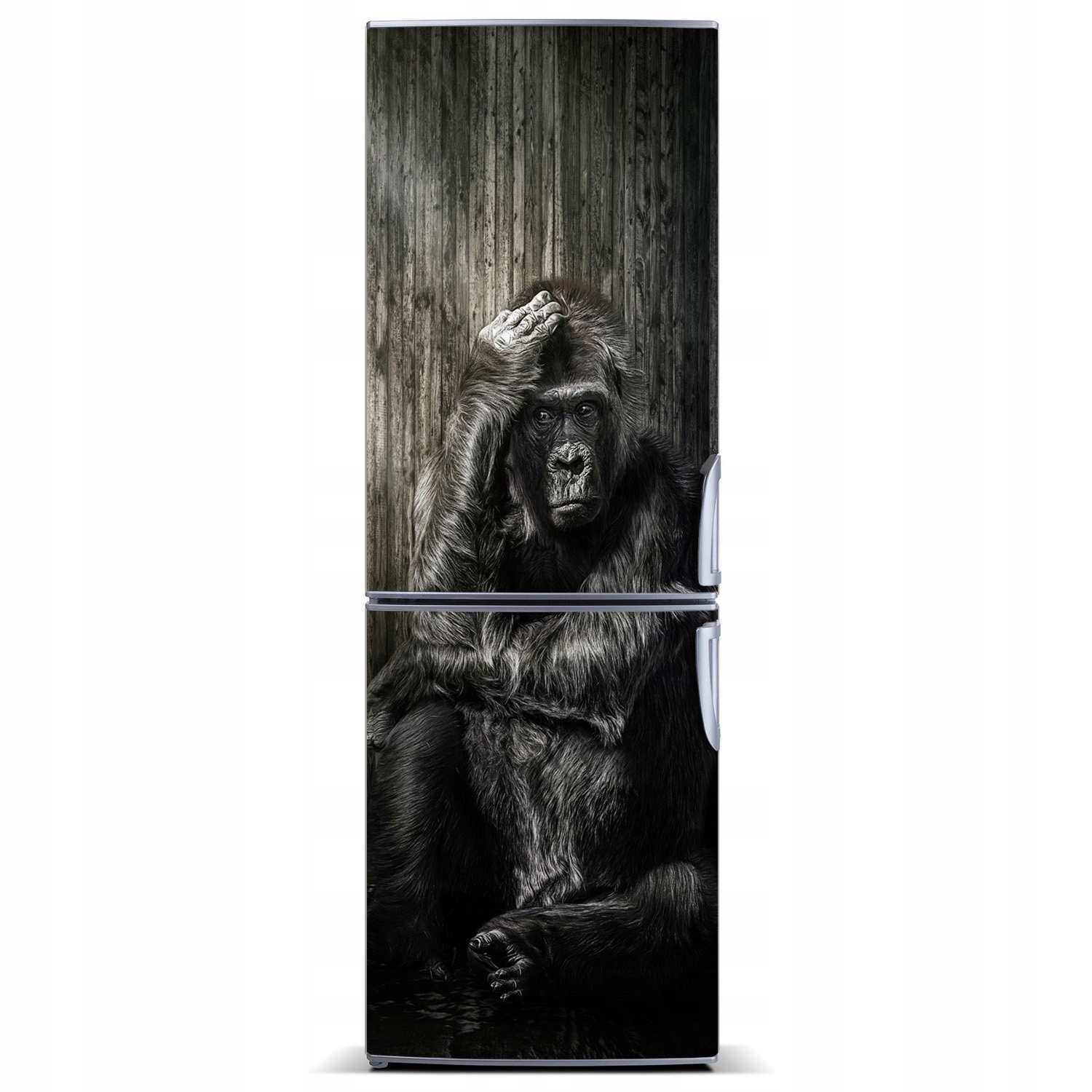 

Naklejka magnetyczna lodówkę ścianę Goryl 60x180