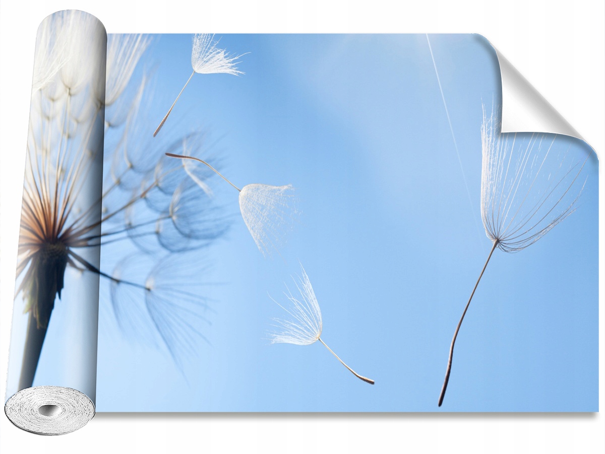 

Tapeta Samoprzylepna Dmuchawiec Niebieski 104x70