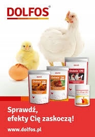 DOLMIX DN RE 2,5kg ekologiczne witaminy dla niosek Kod producenta DN RE