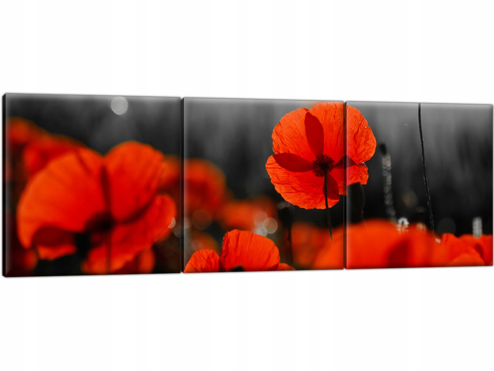 

Tryptyk Czerwone maki Kwiaty 150x50 Szary Czerwony