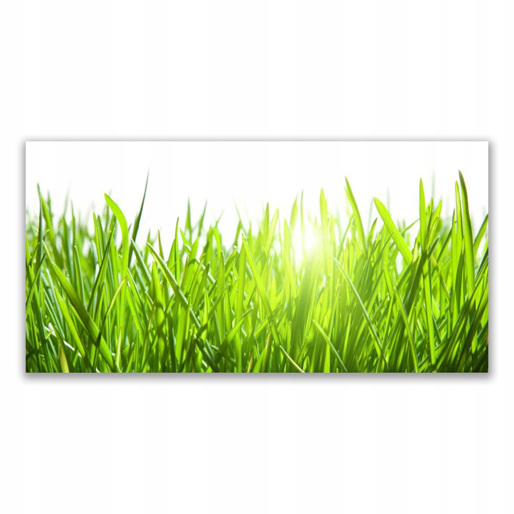 

Fotoobraz na prezent 120x60 Trawa Roślina Natura