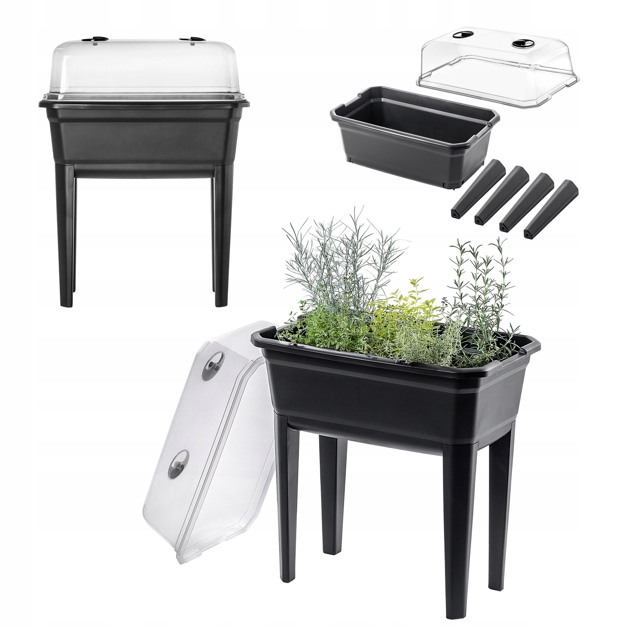 Velký Mini Skleník Miniskleník Domácí Skleník Sadby 60cm 30L