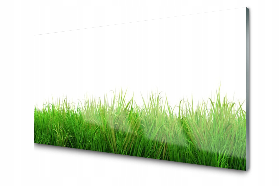 

Panel szklany Płytka Trawa Roślina 140x70 + Klej