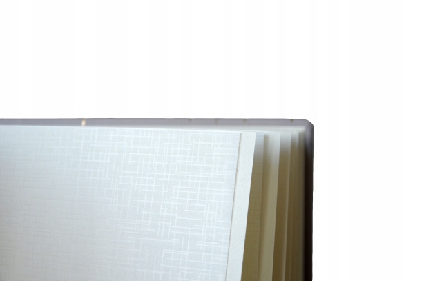 ALBUM NA ZDJĘCIA FOTO SZYTY DO ZDOBIENIA SCRAPBOOK 64 STRONY 24x24 LEAVES Producent Inna