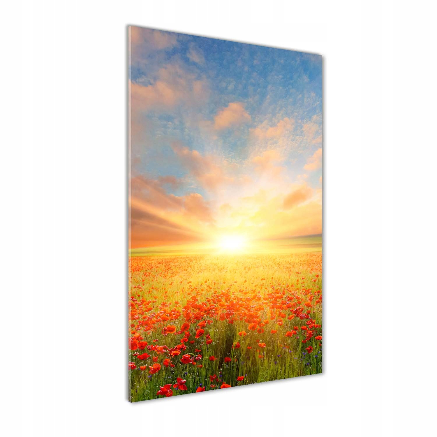 

Foto obraz akrylowy na ścianę Pole maków 50x100cm