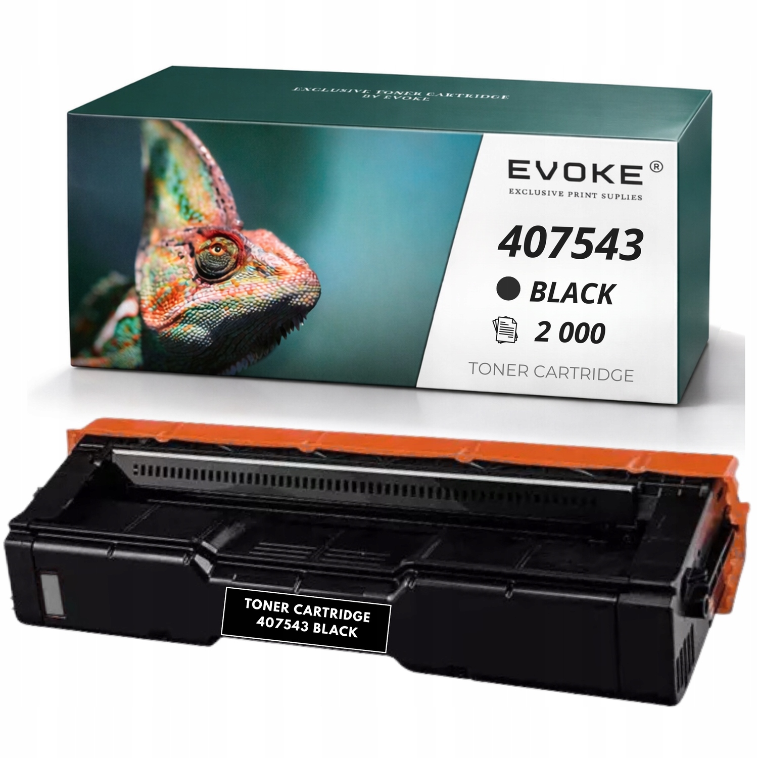Toner pro Ricoh SPC250E SPC261K 407543 černý 2000 stran Aficio Sp C250E
