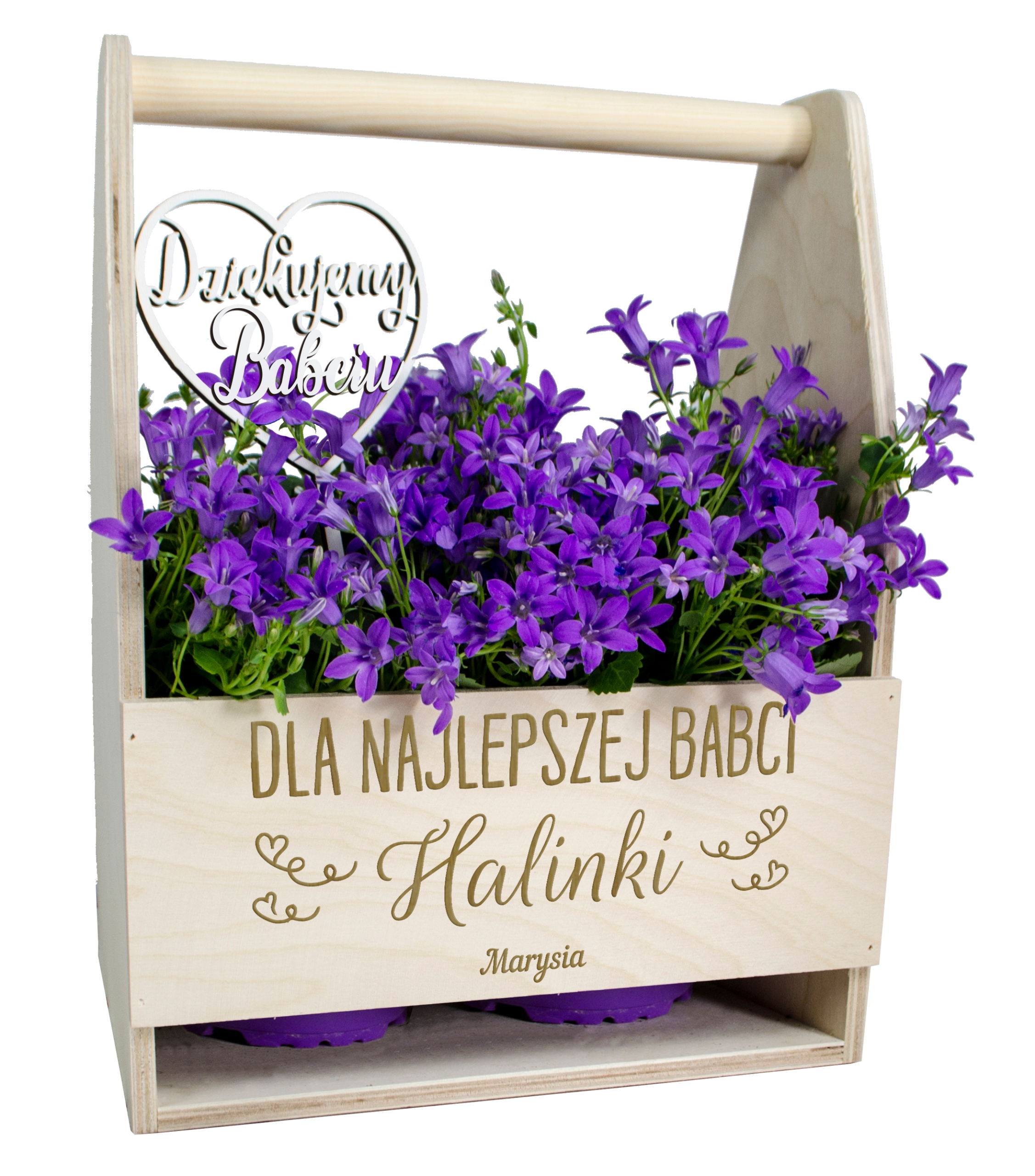 

Na Dzień Babci Doniczka Na Kwiaty Dla