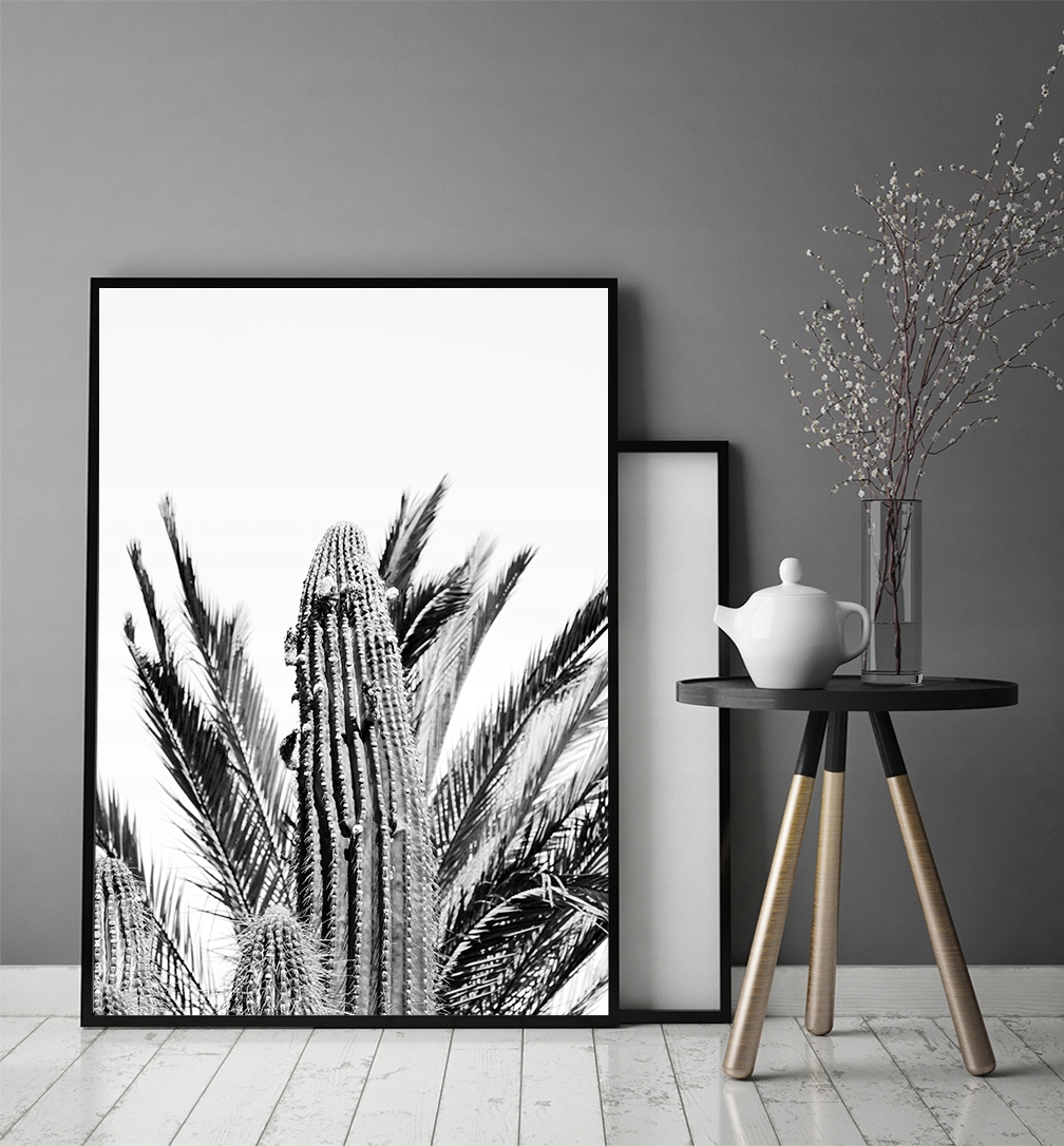 OBRAZ PLAKAT W RAMIE 43x33 cm Kaktusy P686 Marka inna