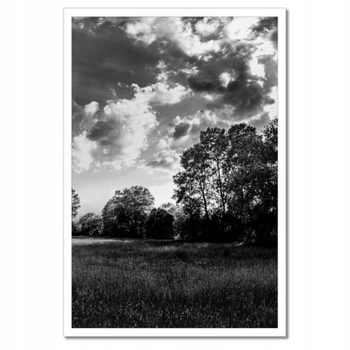 Plakáty v rámu 40x60 Venkovská krajina louky