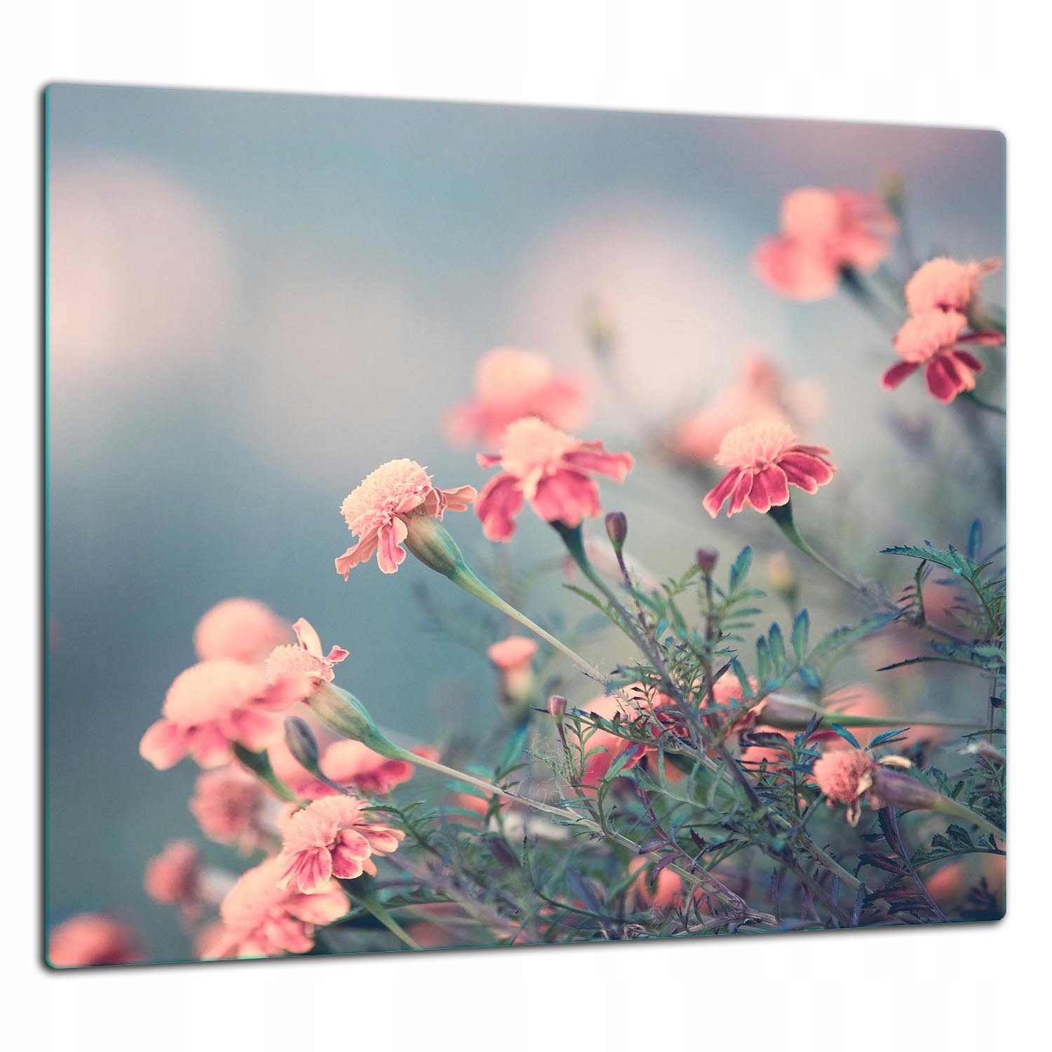 Skleněná Ochranná Deska Panel Lepidlo 65x60 Květiny