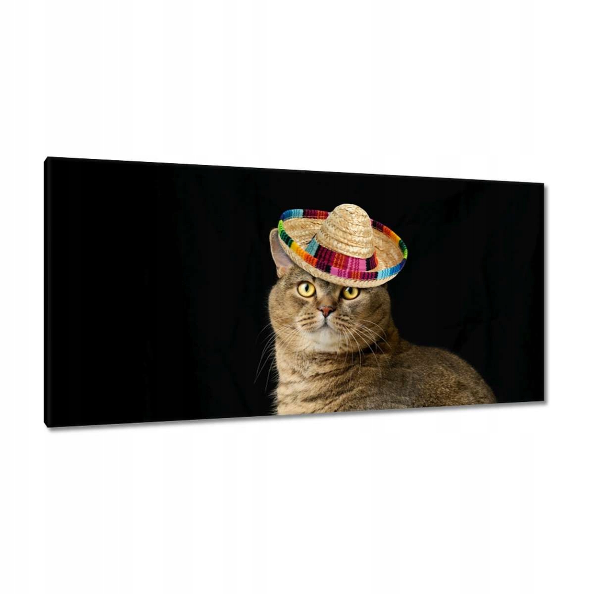 Obrazy 115x55 Kočka s kloboukem Sombrero