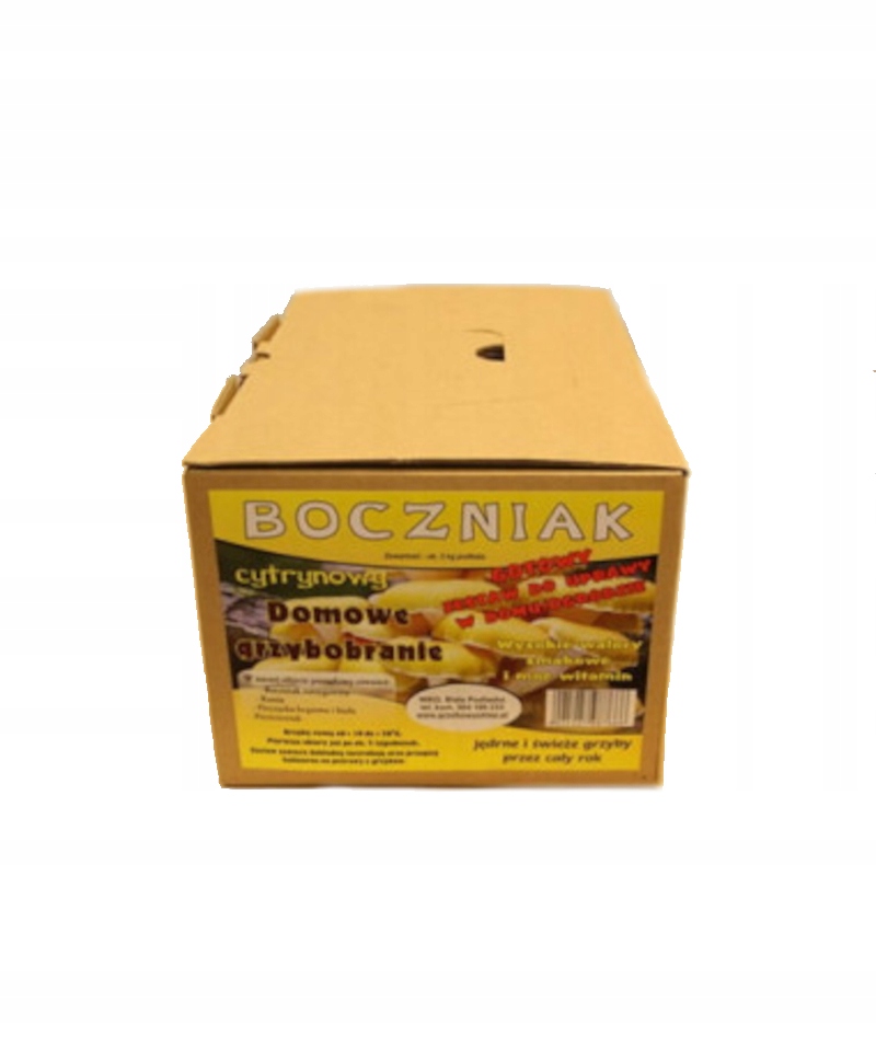 

Grzybnia Boczniak Cytrynowy 3kg