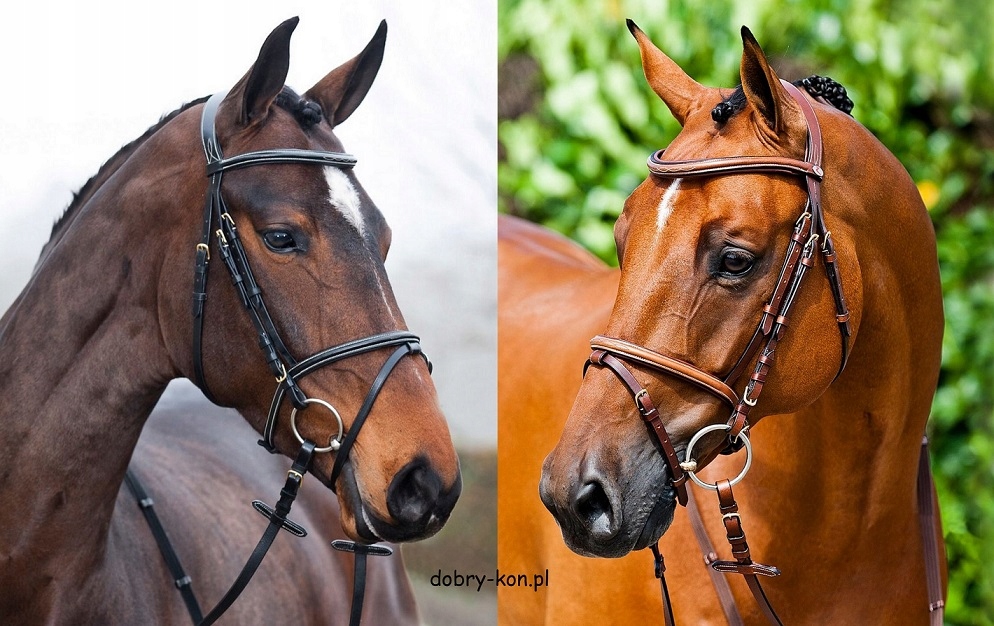 Horze, Ogłowie Constance X-full czarny