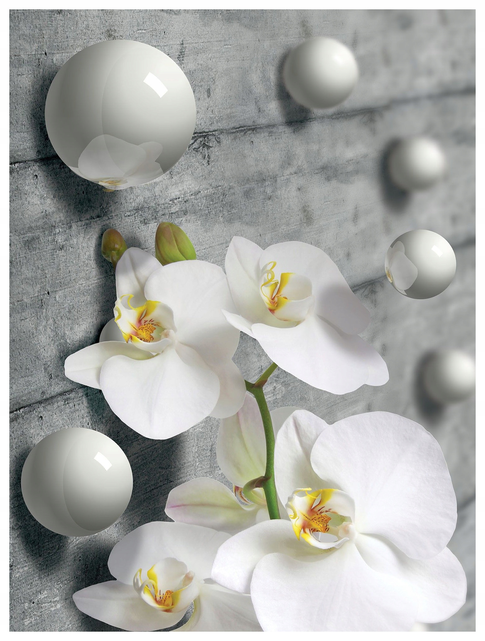 Fototapeta Orchideje bílé na vinylovém stromě 184x254 lepidlo