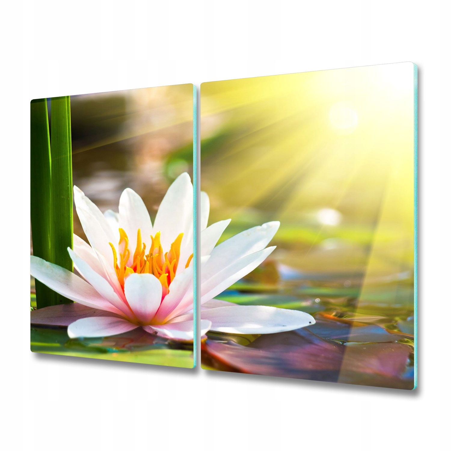 

Osłona płyty indukcyjnej Lilia wodna 2x30x52