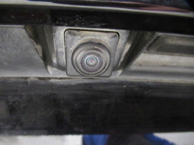 RENAULT KOLEOS II KLAPA TYLNA KAMERA TEGXA Typ samochodu Samochody osobowe