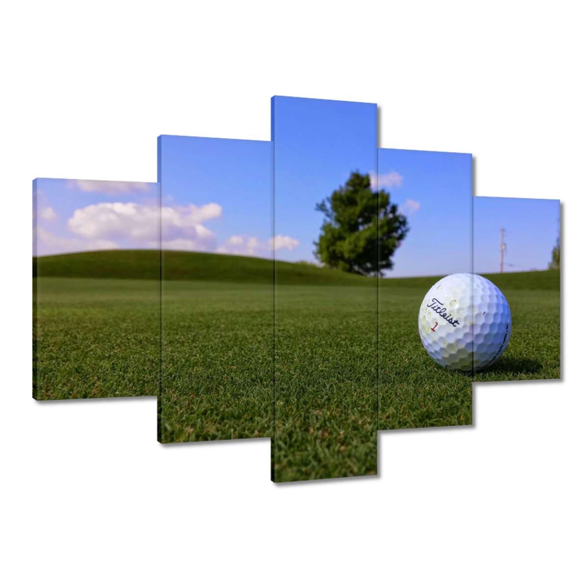 Obrazy 150x105 Golfová hra Míč na hřišti