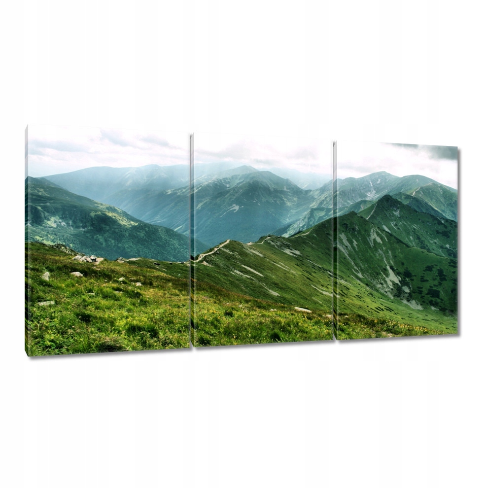 

Obrazy 240x120 Tatry Polskie góry Widok