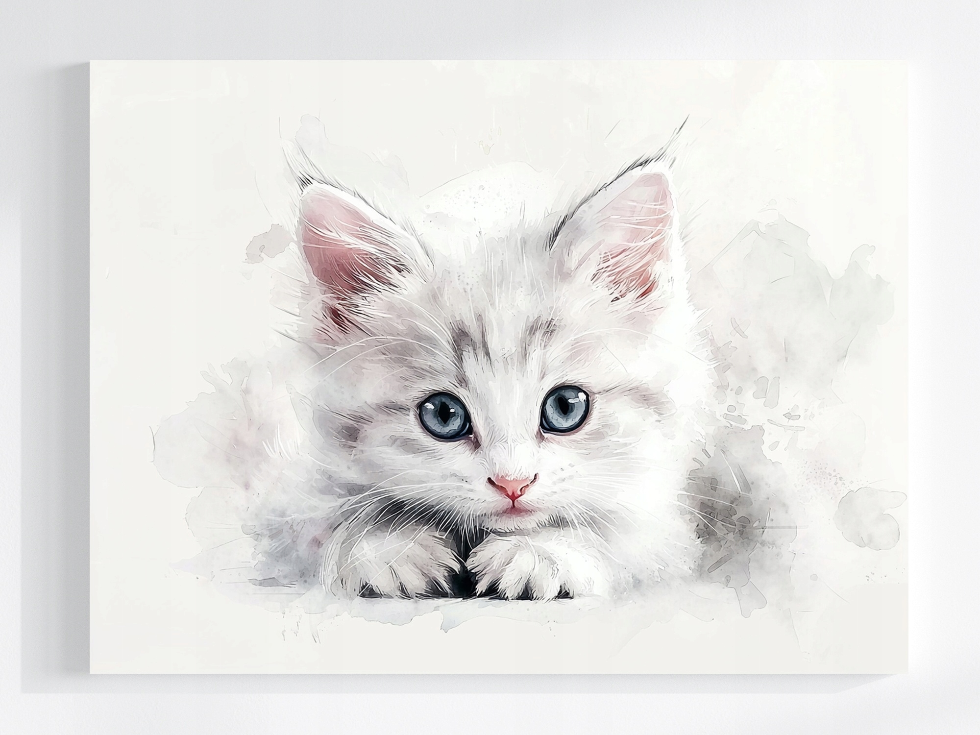 Plátno, Obraz Na Plátně , Bílá Kočka, Kotě , Portrét 100x75