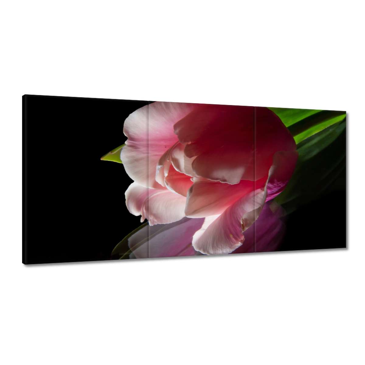 Obrazy 180x90 Ružový kvet Tulipán
