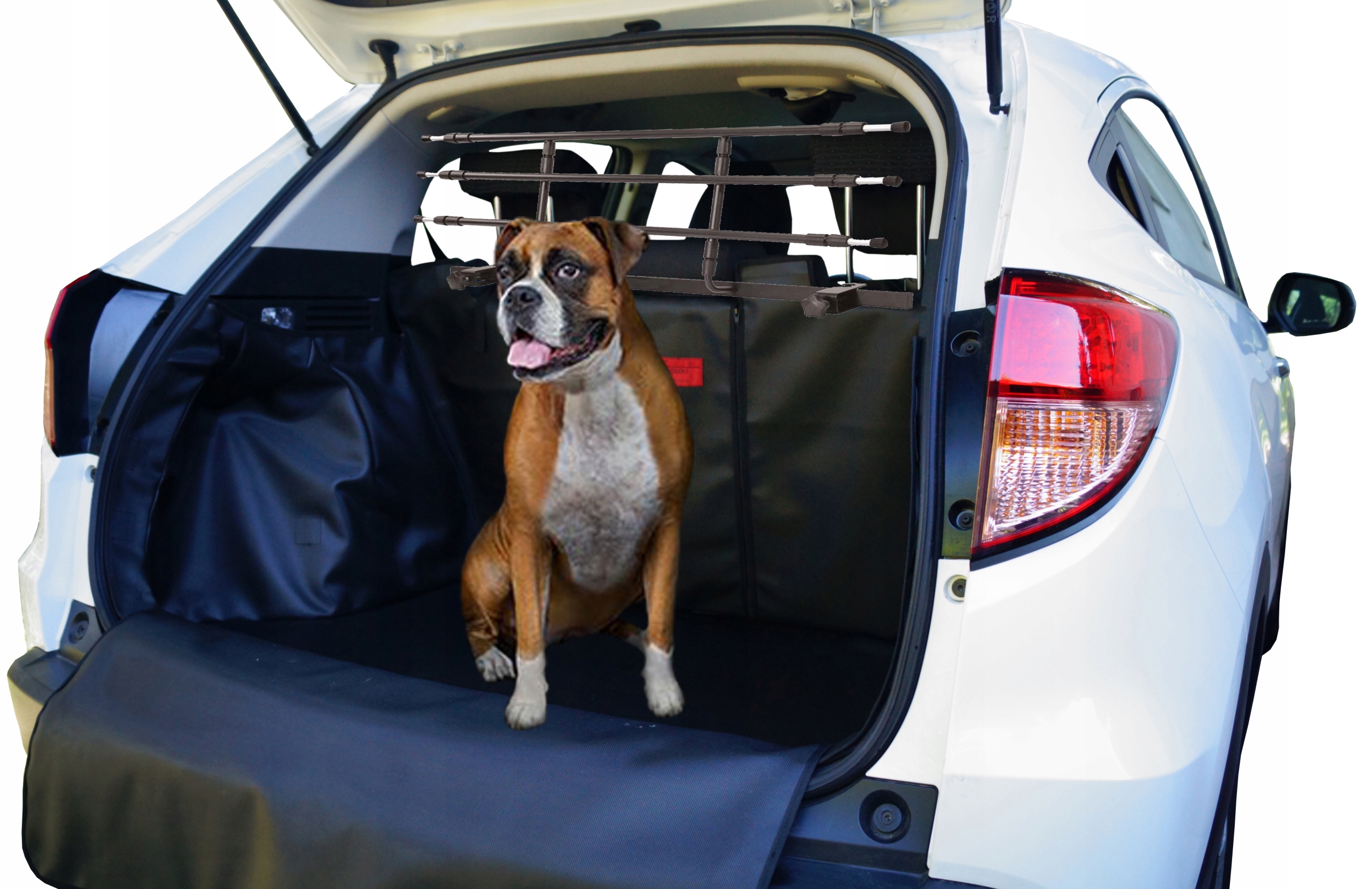 0232fb1f46ac96dfdc0d6c5d1541