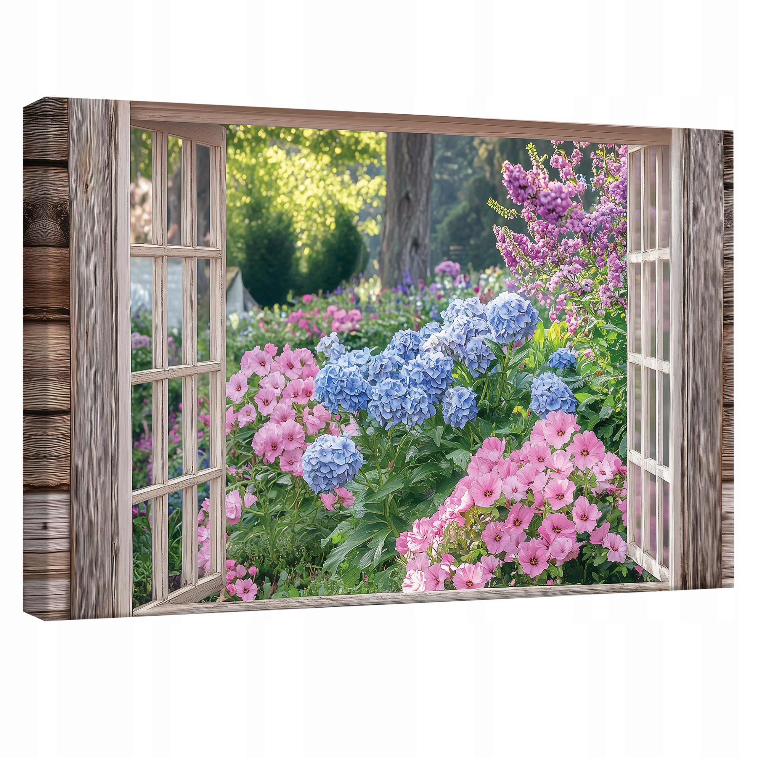 Obraz 120x80 Okno zahrada květiny hortenzie růžové léto příroda krása