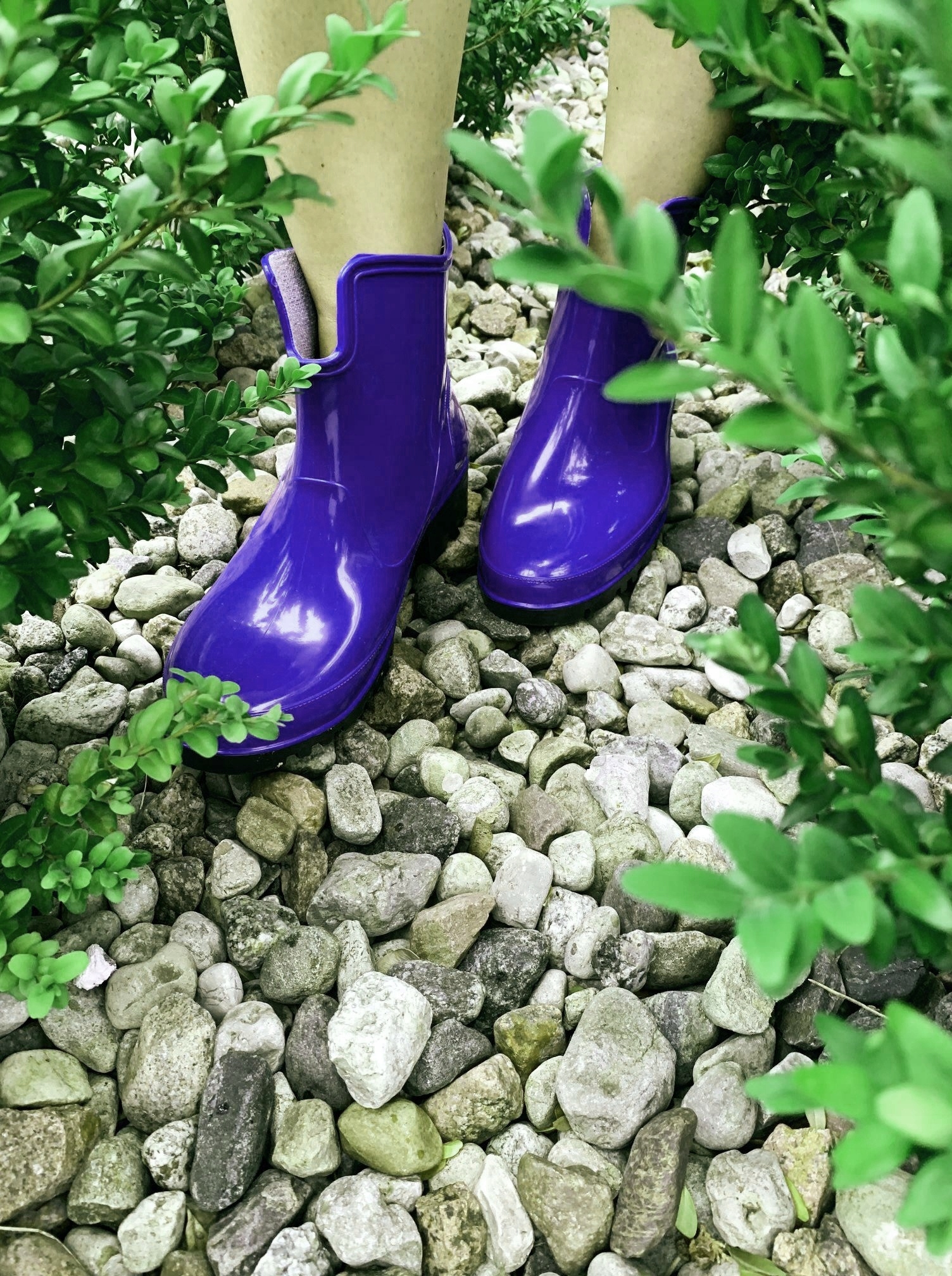 KALOSZE DAMSKIE GUMIAKI BOTKI LEMIGO ELKE POLSKIE Marka Lemigo