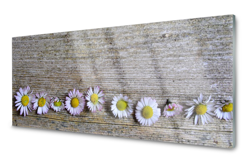 

Panel szklany do kuchni Stokrotka Roślina 125x50