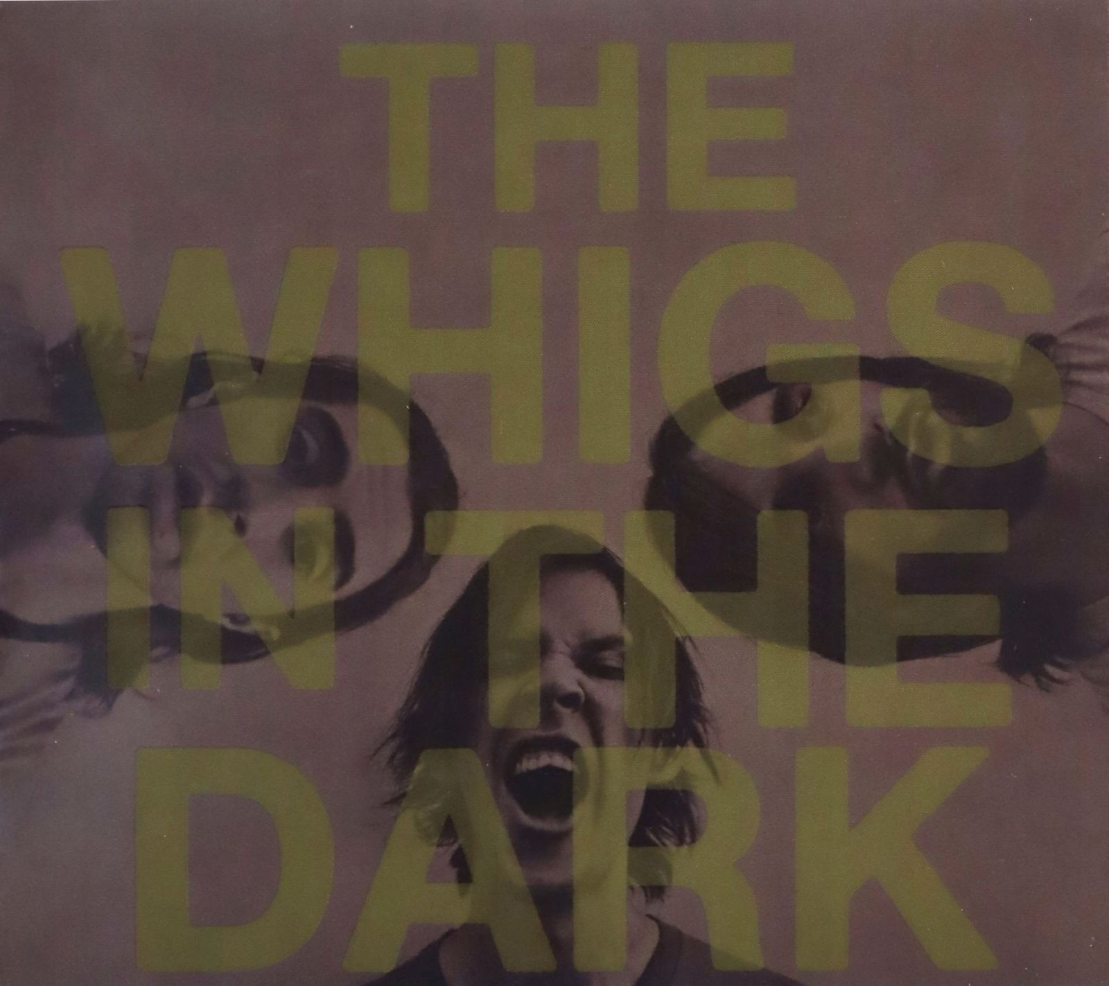 The Whigs: In The Dark (digipack) (CD)