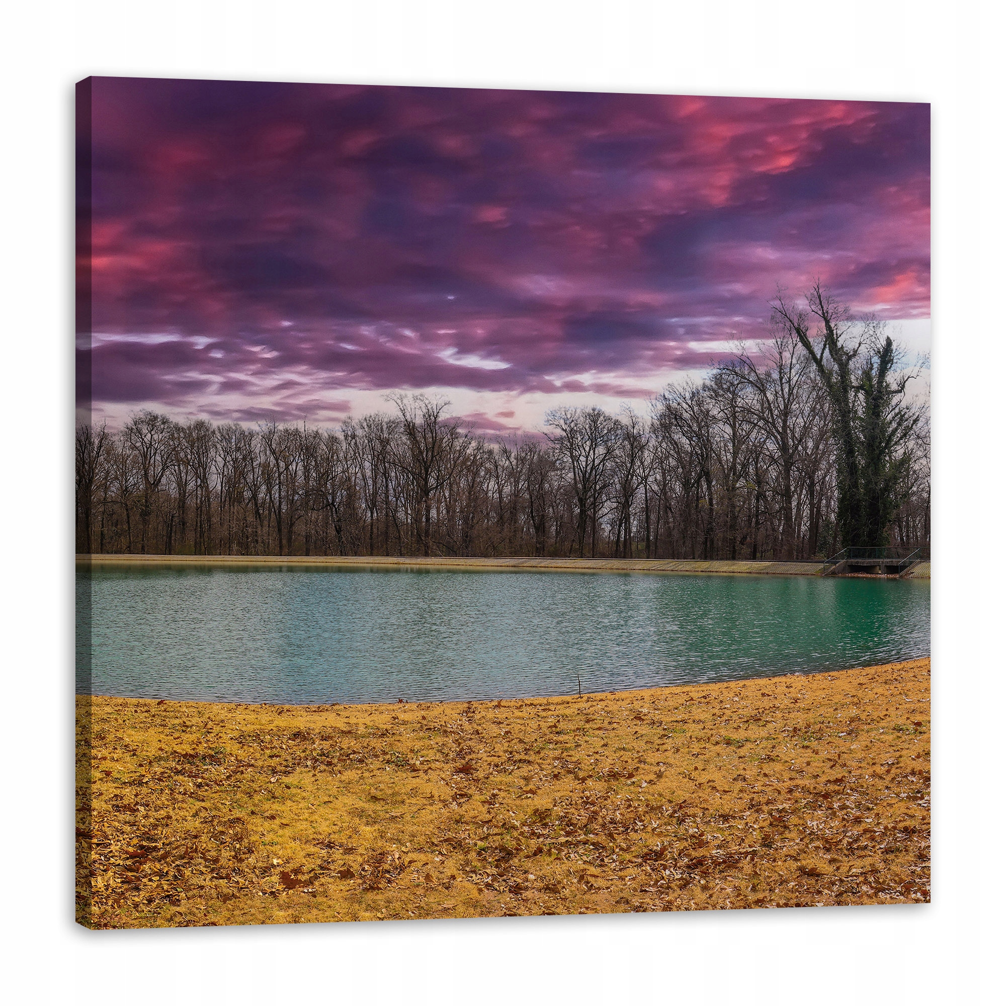 Obraz na plátně Fialové nebe Rybník Stromy Podzim 80x80 cm