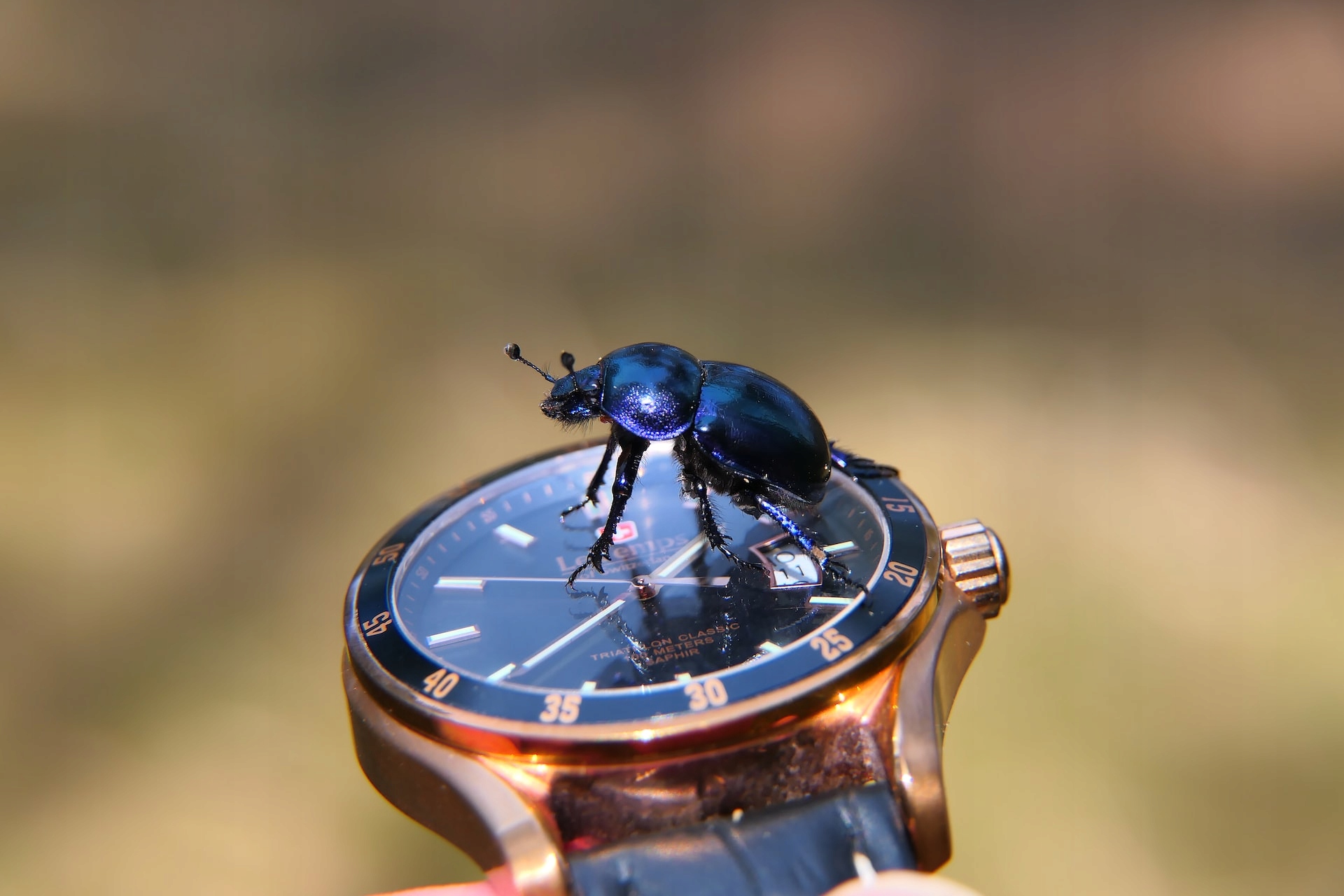 PLAKAT ze zdjęcia-druk EPSON Premium mat format A0 Rodzaj bez ramy