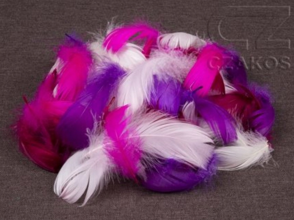 

Mix kolorów Pióra piórka dekoracyjne