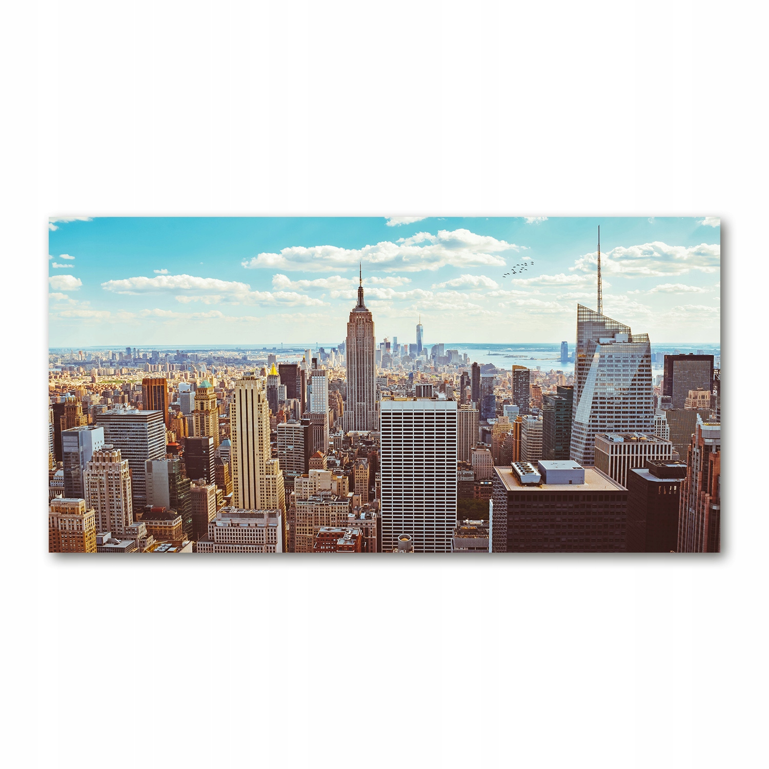 

Foto-obraz akrylowy Nowy Jork lot ptaka 140x70 cm