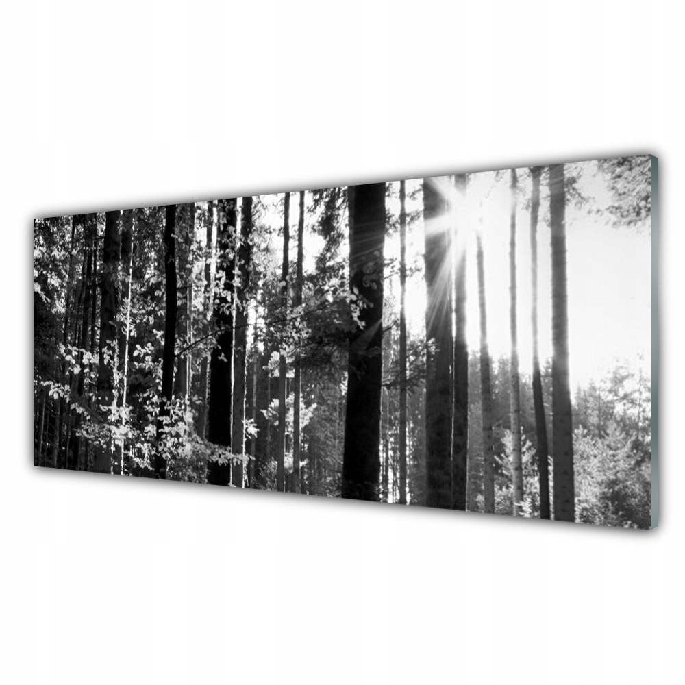 

Fotoobraz akryl wiszący 125x50 Las Natura Drzewa