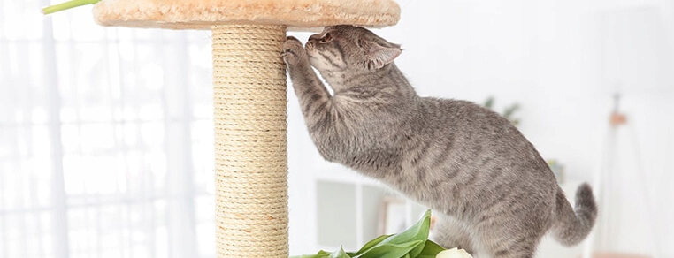 LINA SIZALOWA 6mm - 50m sznur sizal na drapak Marka Berbert