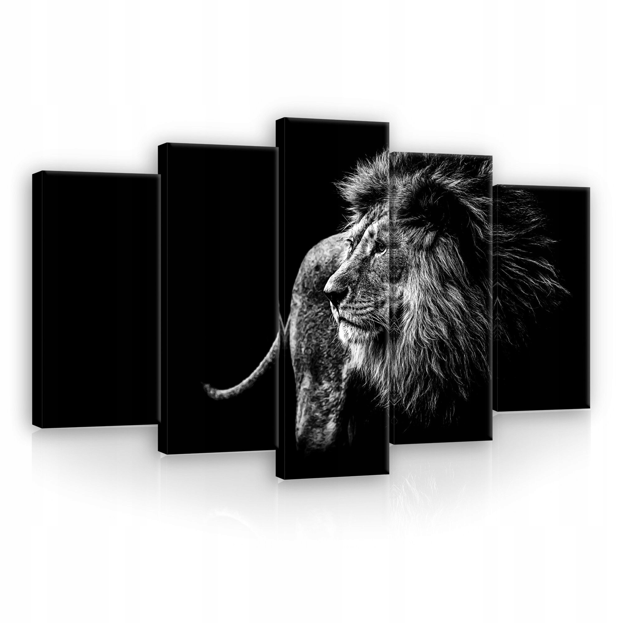 Obraz 100x60 Lev síla divočina portrét černobílá textura síla